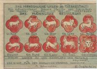 NOTGELD --- STADT EISENACH - (WARTBURG) / TH&Uuml;RINGEN 50 Pf