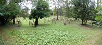 Der alte j&uuml;dische Friedhof &quot;Heiliger Sand&quot;, Worms